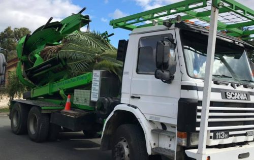 59762981_1360697540735775_7921743152254287872_n